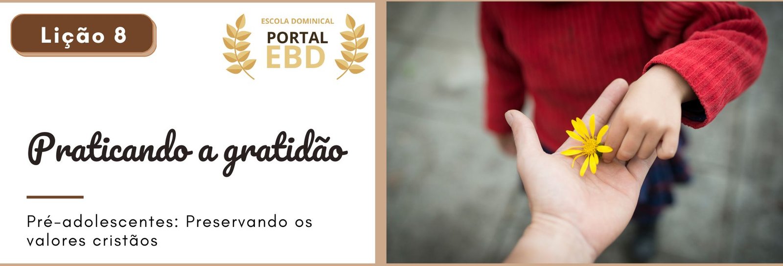 Lição 8 - Praticando a gratidão II